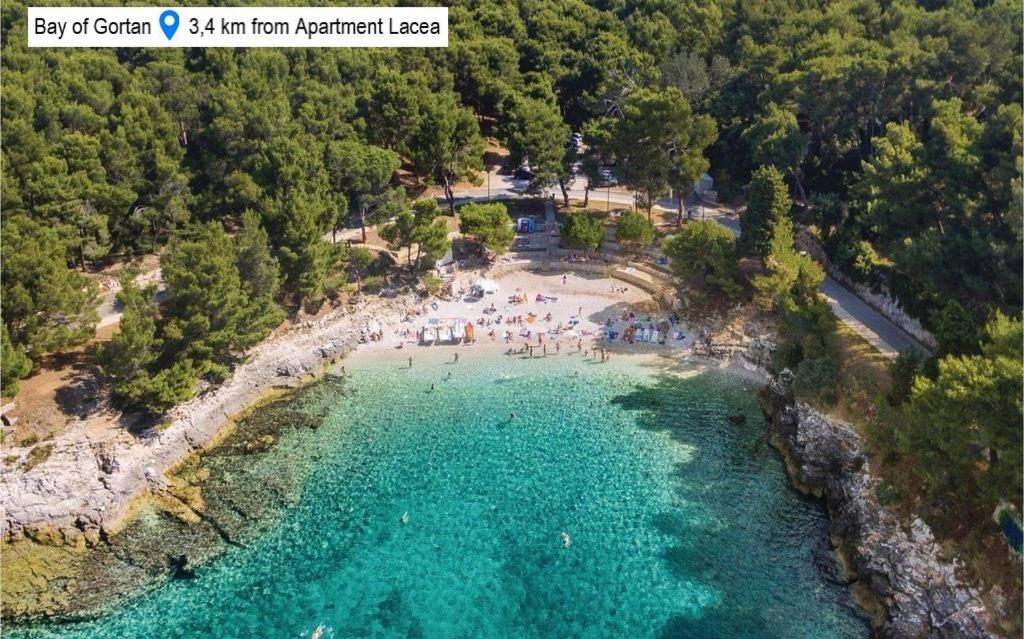 Lacea